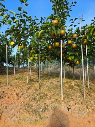 자연인님의 자유주제 · 자유게시판 작성글 사진