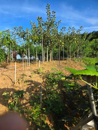 자연인님의 자유주제 · 자유게시판 작성글 사진