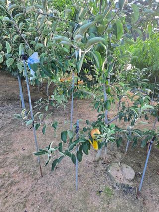 자연인님의 자유주제 · 자유게시판 작성글 사진