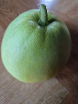 팜모닝 자유주제·자유게시판 게시글 이미지