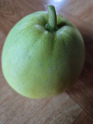 어영식님의 자유주제 · 자유게시판 작성글 사진