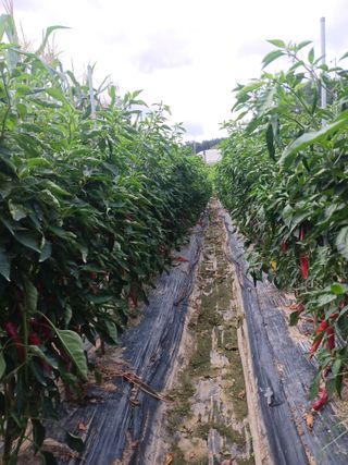 오화순님의 자유주제 · 자유게시판 작성글 사진