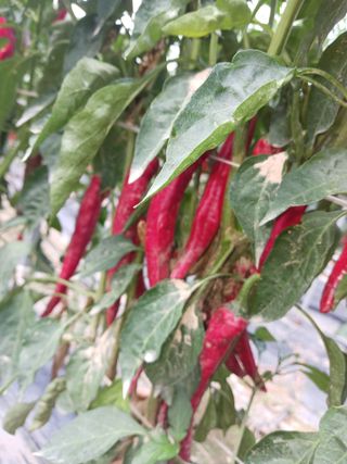 오화순님의 자유주제 · 자유게시판 작성글 사진