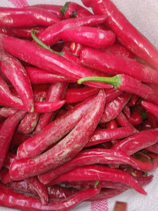 오화순님의 자유주제 · 자유게시판 작성글 사진