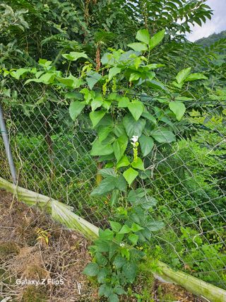 정상붕님의 요즘 무엇에 관심있나요? · 참여글 작성글 사진