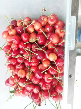 자연인님의 자유주제 · 자유게시판 작성글 사진