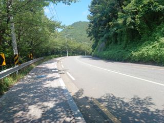 오영도님의 자유주제 · 자유게시판 작성글 사진