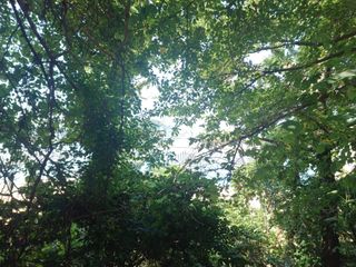 오영도님의 자유주제 · 자유게시판 작성글 사진