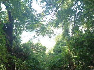 오영도님의 자유주제 · 자유게시판 작성글 사진