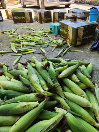 윤미선(농경채인증님의 작성글 사진