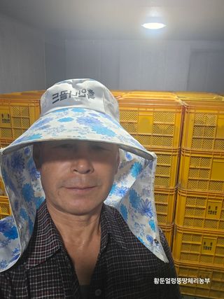 황둔얼렁뚱땅체리농부님의 자유주제 · 자유게시판 작성글 사진