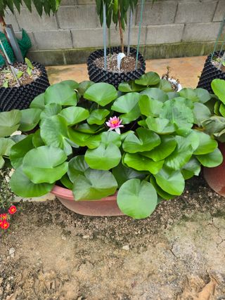 자연인님의 자유주제 · 자유게시판 작성글 사진