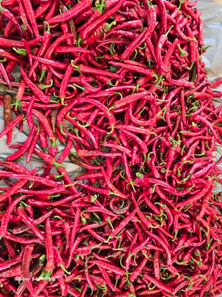 ♡청심전유삼♡님의 자유주제 · 자유게시판 작성글 사진