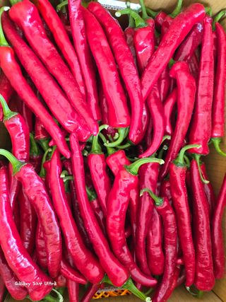 ♡청심전유삼♡님의 자유주제 · 자유게시판 작성글 사진