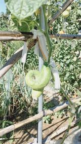 팜모닝 자유주제·자유게시판 게시글 이미지