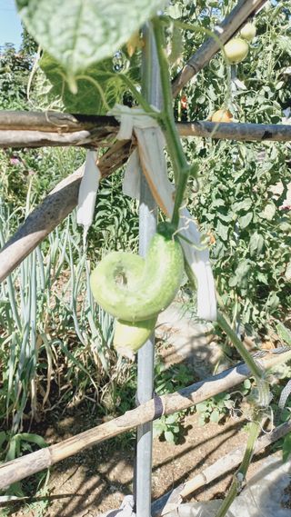 KYGE428님의 자유주제 · 자유게시판 작성글 사진