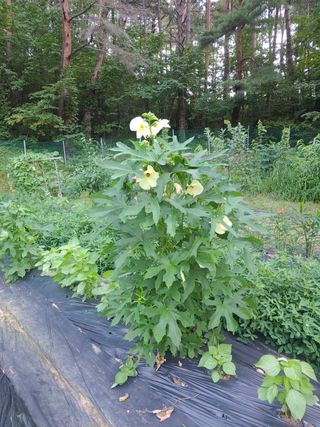권재형님의 자유주제 · 자유게시판 작성글 사진