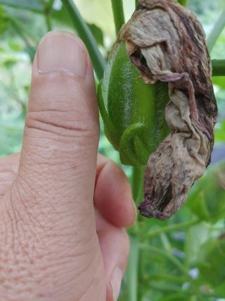 권재형님의 자유주제 · 자유게시판 작성글 사진