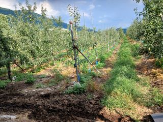 알 수 없음님의 자유주제 · 자유게시판 작성글 사진