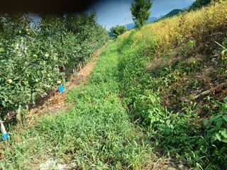 알 수 없음님의 자유주제 · 자유게시판 작성글 사진