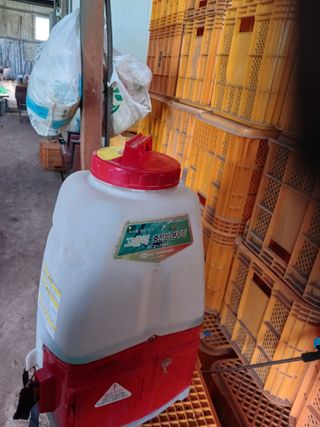 알 수 없음님의 자유주제 · 자유게시판 작성글 사진