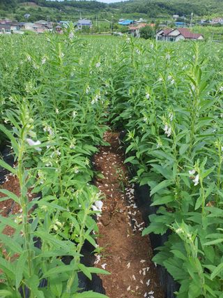 김영복님의 자유주제 · 자유게시판 작성글 사진