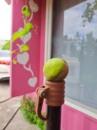 화사농장박토벤님의 복숭아 · 영농일지 작성글 사진