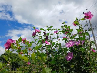 금동이네님의 자유주제 · 자유게시판 작성글 사진