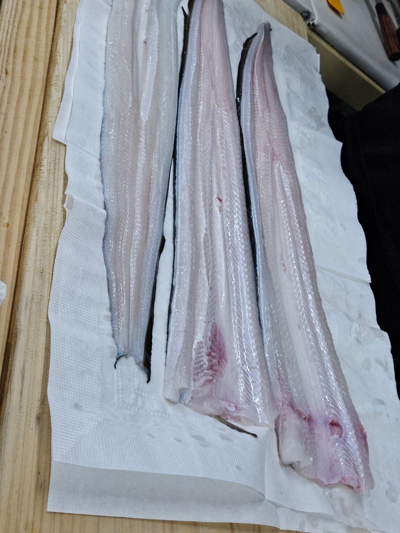 김진국님의 장터 판매 상품 [하모 샤브샤브 갯장어 1kg 자연산 유비끼 손질] 첨부 사진
