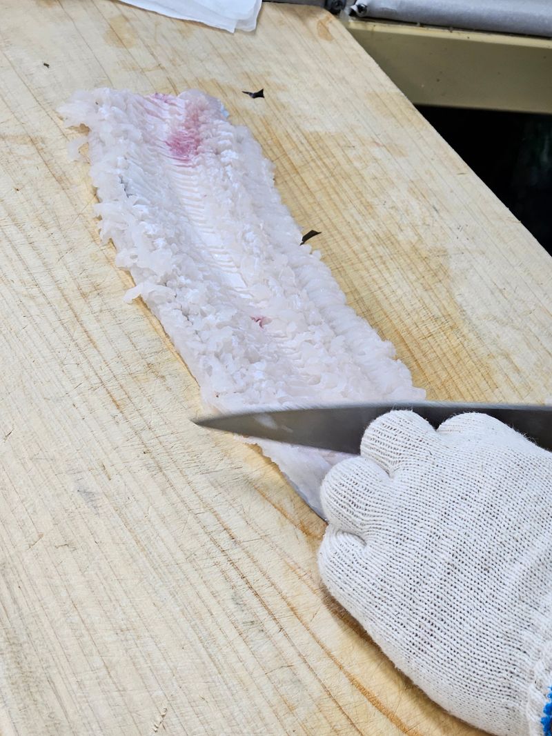 김진국님의 장터 판매 상품 [하모 샤브샤브 갯장어 1kg 자연산 유비끼 손질] 첨부 사진