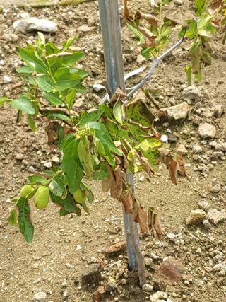 홍부표님의 팜모닝 · 출석 작성글 사진