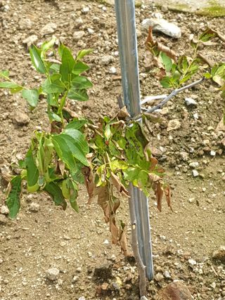 홍부표님의 팜모닝 · 출석 작성글 사진