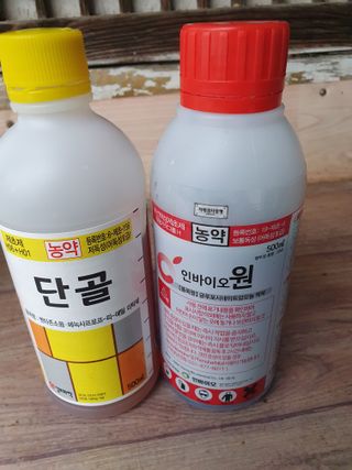 남기탁 님의 들깨 · 자유게시판 작성글 사진