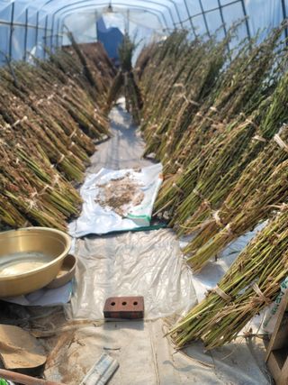 장효기님의 요즘 무엇에 관심있나요? · 참여글 작성글 사진