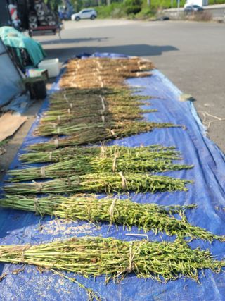 장효기님의 요즘 무엇에 관심있나요? · 참여글 작성글 사진