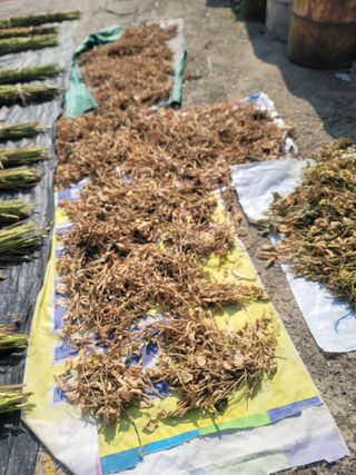 장효기님의 요즘 무엇에 관심있나요? · 참여글 작성글 사진