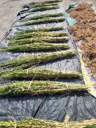 장효기님의 요즘 무엇에 관심있나요? · 참여글 작성글 사진