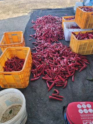 장효기님의 요즘 무엇에 관심있나요? · 참여글 작성글 사진