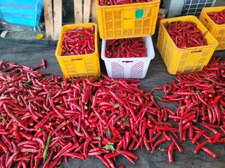 장효기님의 요즘 무엇에 관심있나요? · 참여글 작성글 사진