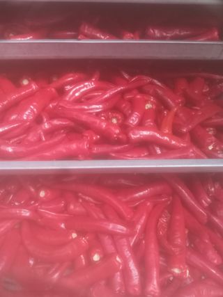 알 수 없음님의 자유주제 · 자유게시판 작성글 사진