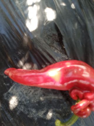 알 수 없음님의 자유주제 · 자유게시판 작성글 사진