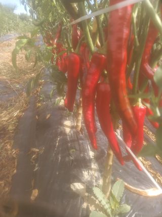 알 수 없음님의 자유주제 · 자유게시판 작성글 사진