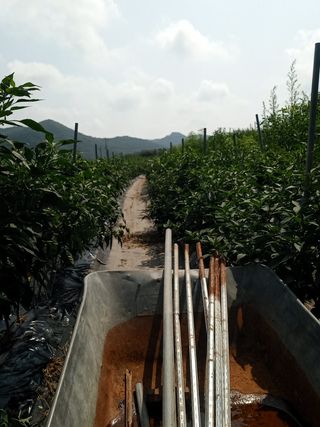 알 수 없음님의 자유주제 · 자유게시판 작성글 사진