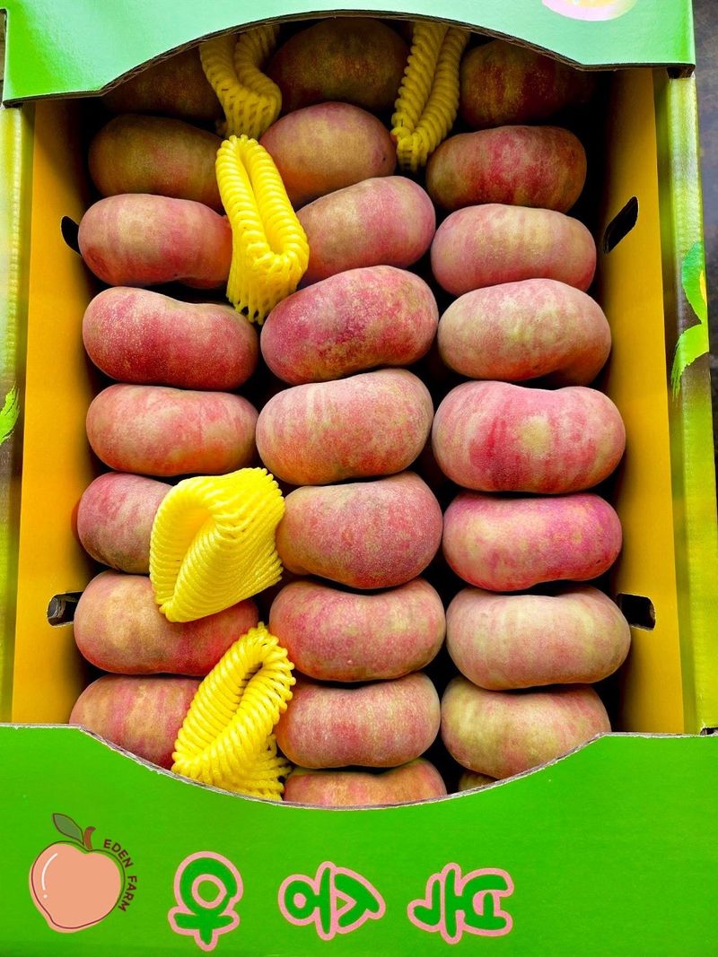 김안식~납작복숭아님의 장터 판매 상품 [납작복숭아. 거반도] 첨부 사진