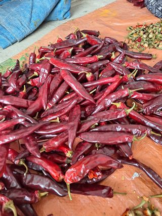 허미숙님의 팜모닝 · 출석 작성글 사진