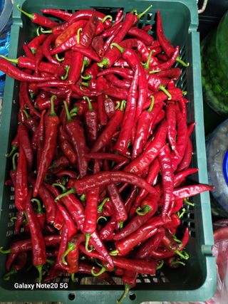 정창훈님의 자유주제 · 자유게시판 작성글 사진