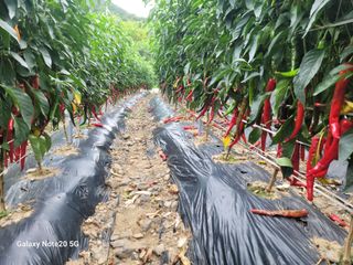 정창훈님의 자유주제 · 자유게시판 작성글 사진