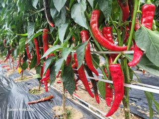 정창훈님의 자유주제 · 자유게시판 작성글 사진