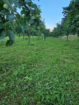 팜모닝 자유주제·자유게시판 게시글 이미지