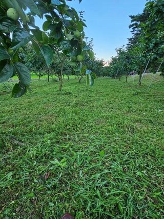 경희아짐님의 자유주제 · 자유게시판 작성글 사진